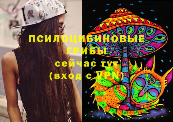apvp Бугульма