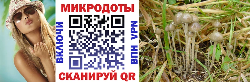 Галлюциногенные грибы ЛСД  Заволжье 